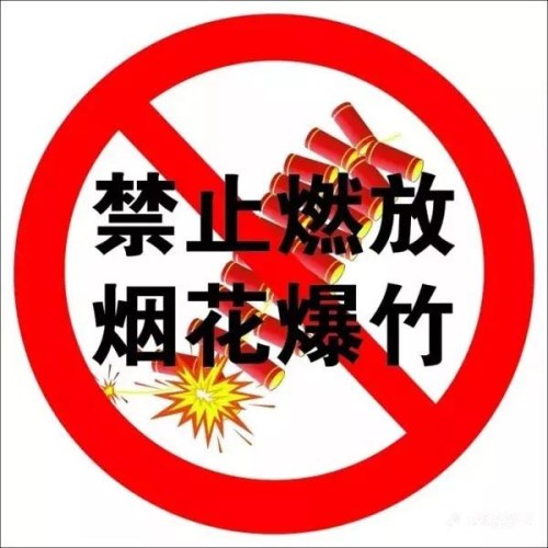 禁止燃放烟花爆竹倡议书